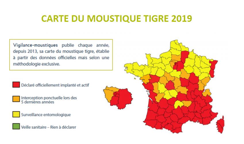 Carte de France du Moustique tigre en 2019