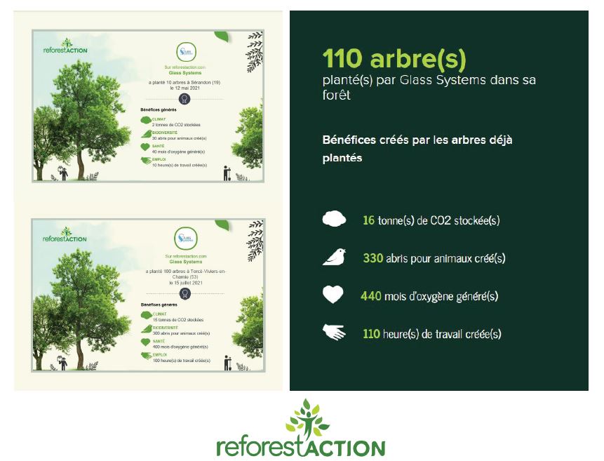 glass systems reforestaction